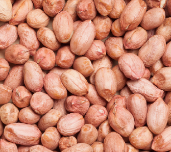 Jornadas de Inserción Profesional y Feria de Empleo UNC